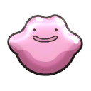 Ditto